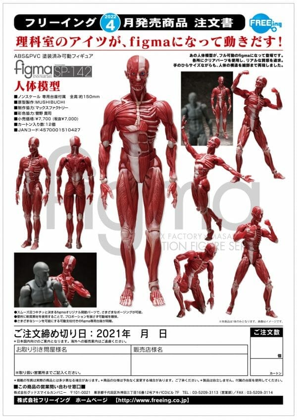 FREEing - Figma Human Anatomical Model