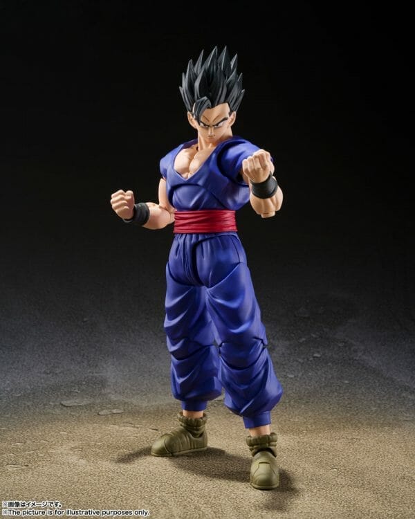 268002807 4703364196376608 5476238146575583480 n S.H.Figuarts SON GOHAN SUPER HERO