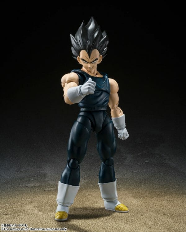 269436662 4703356003044094 2471567913580910736 n S.H.Figuarts VEGETA SUPER HERO